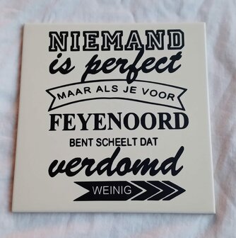 Tegel: Niemand is perfect | Voetbal