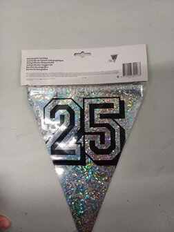 Vlaggenlijn 25 zilver